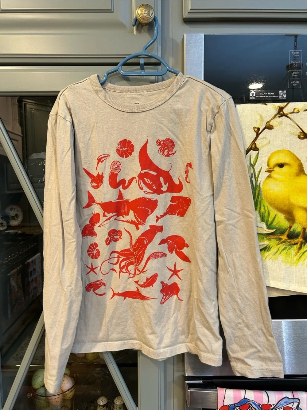 GAP Boys Graphic Long Sleeve Cotton Tees Size 10